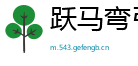 跃马弯弓网